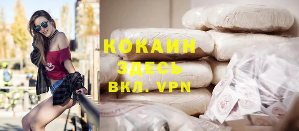 PSILOCYBIN Верея