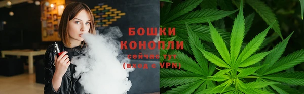 PSILOCYBIN Верея